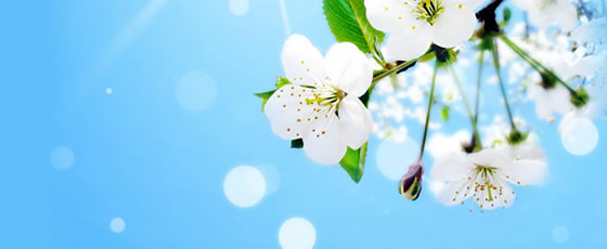 Xiao Qinghe, Dialogues on the Issues of Theodicy in Late Ming Fujian (2024)