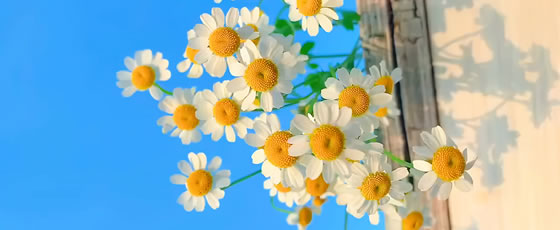 2025.9.24-26：「基督宗教與中國學術思想」學術研討會